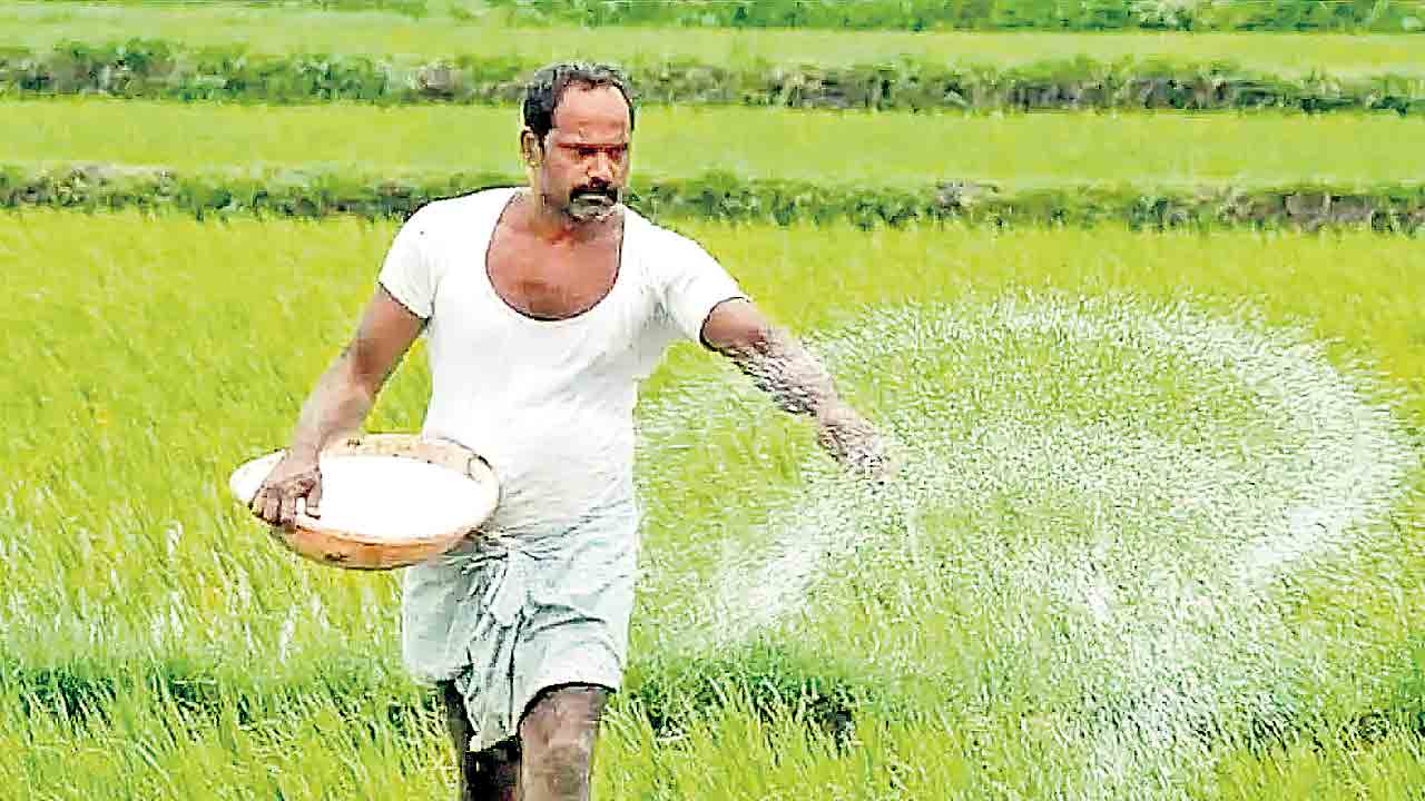 ఎన్నికలు ఉన్నప్పుడేనా భరోసా?