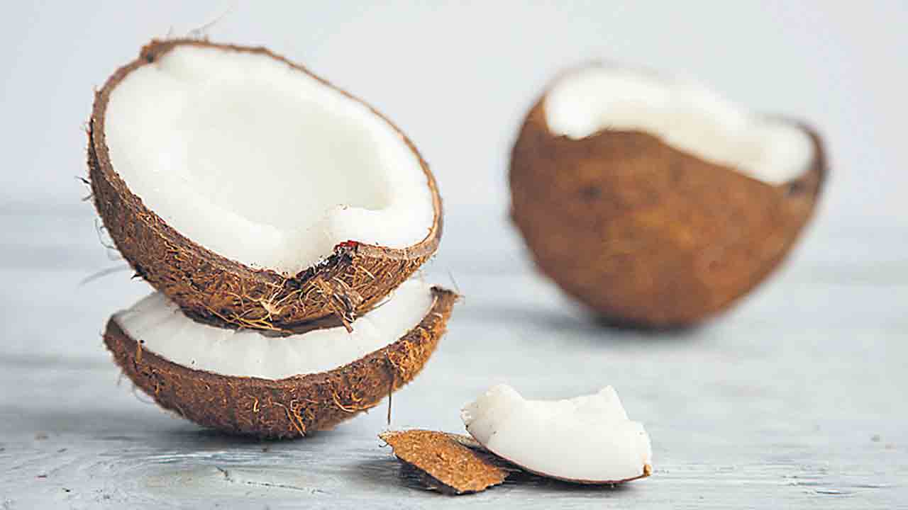 కొబ్బరిని కోరికోరి!