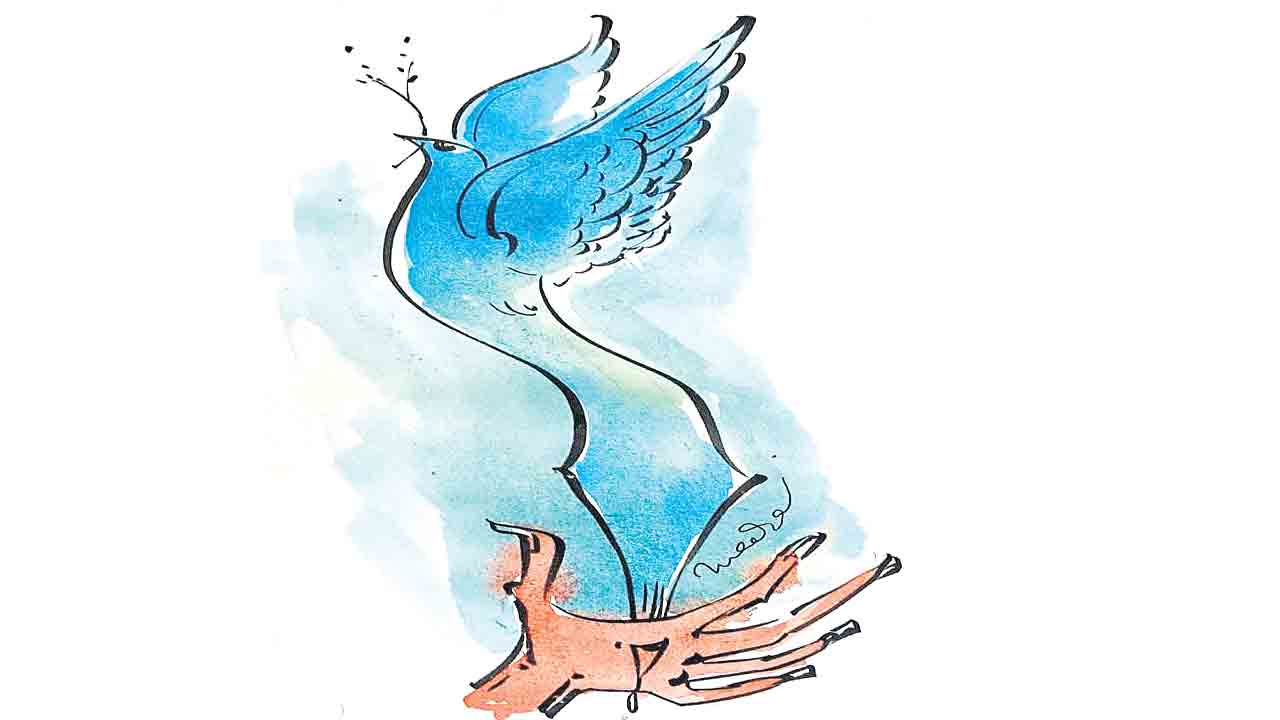 కైలి కోల్యాగ