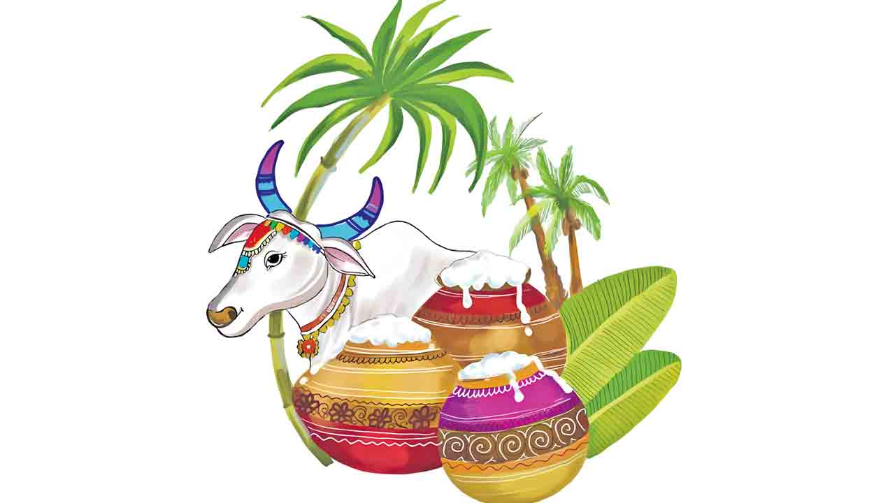 సంక్రాంతి శోభ