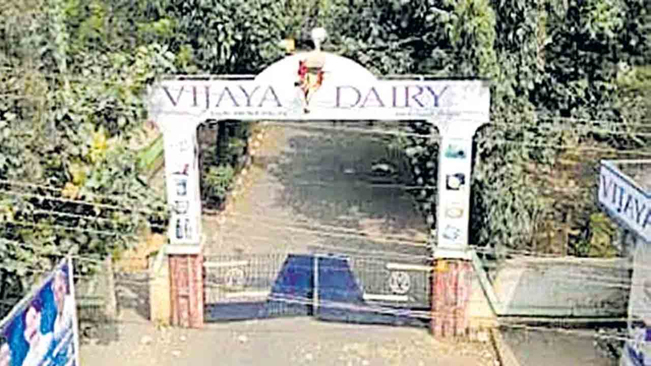 AP Vijaya Dairy | ఏపీ విజయ డెయిరీ అక్రమ దందా.. హైదరాబాద్‌లో పెరుగు తయారీ