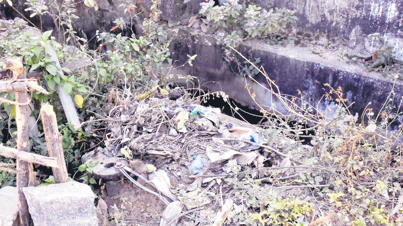 పల్లెలు కళావిహీనం