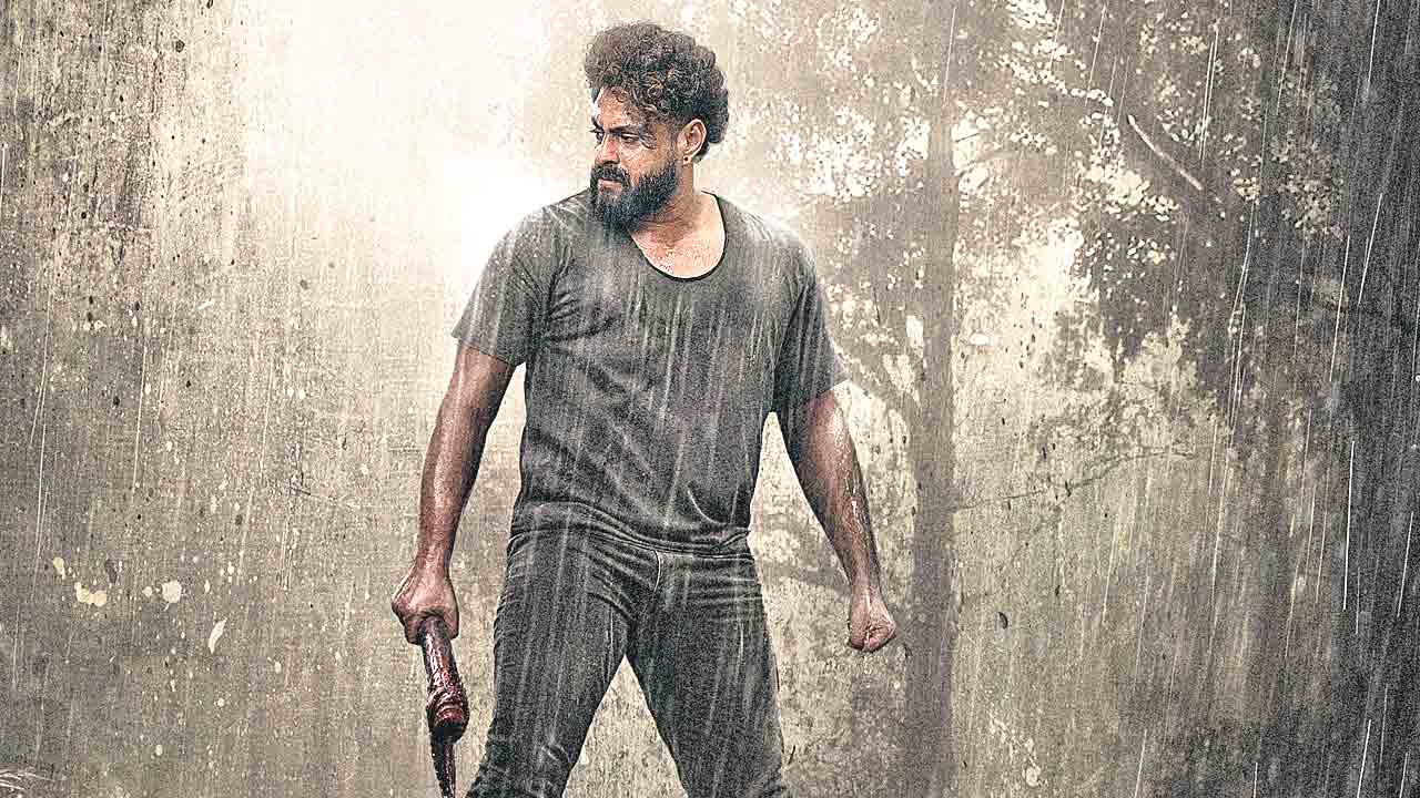 కటాలన్‌ ఏనుగుల వేట