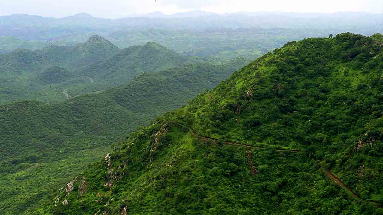 ముప్పులో ‘మూడో వంతు’ ఆరావళి పరిరక్షణ సమితి నివేదిక