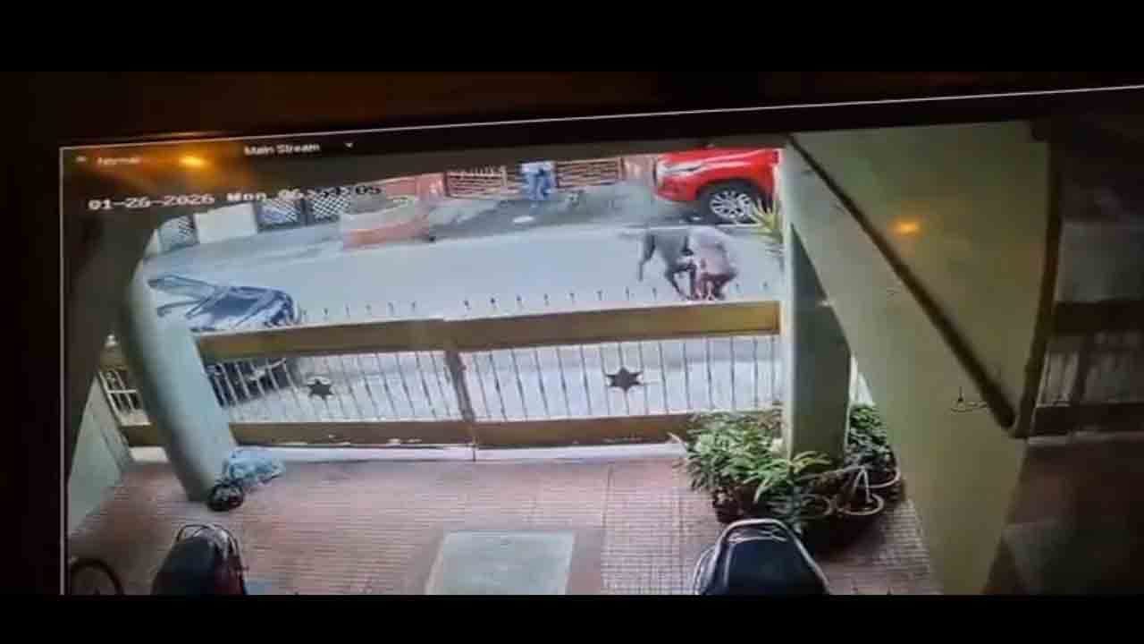 Watch: మహిళపై పొరుగింటి పెంపుడు కుక్క దాడి.. తల, ముఖం, మెడకు 50 కుట్లు