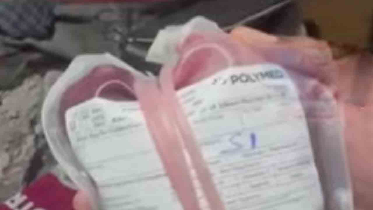 Blood collection | మూగజీవాల నుంచి సీక్రెట్‌గా రక్తం సేకరిస్తున్న ముఠా