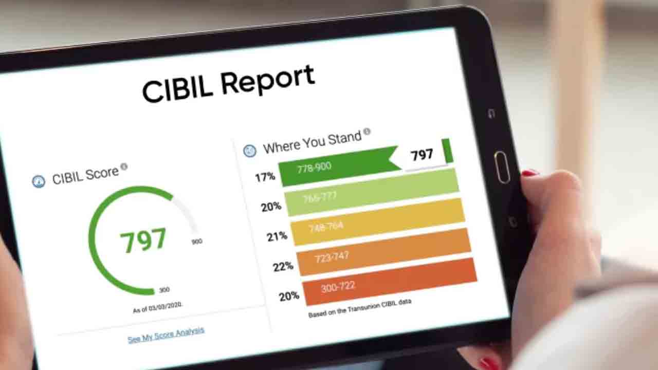 సిబిల్‌ సోర్‌ రిపోర్ట్‌లో వ్యక్తిగత సమాచారమా?
