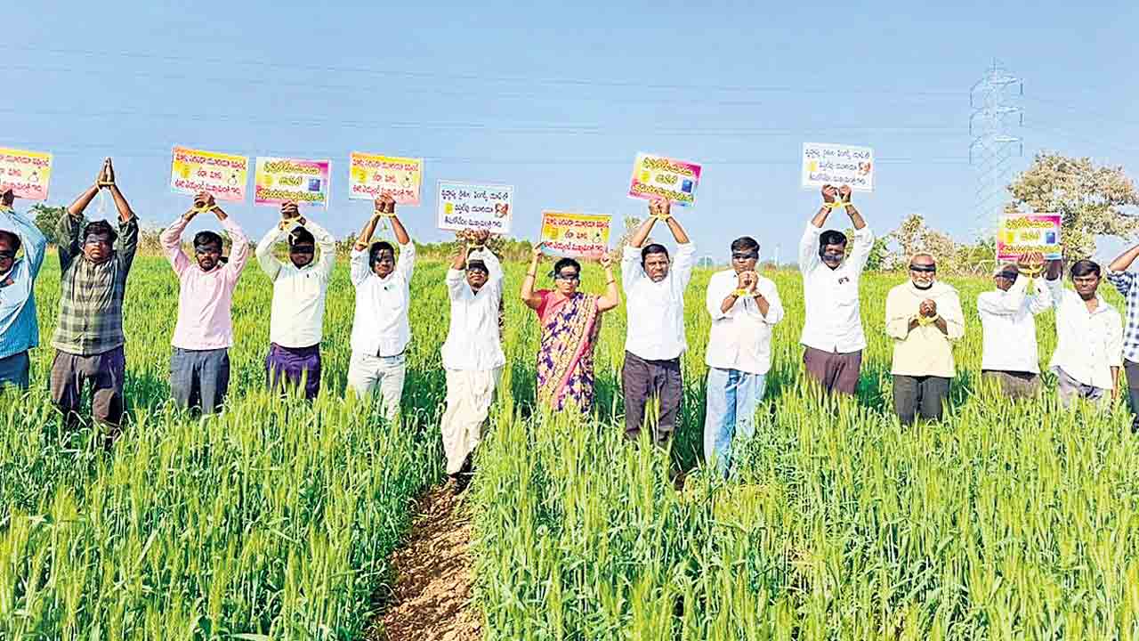 Farmers Urea Shortage