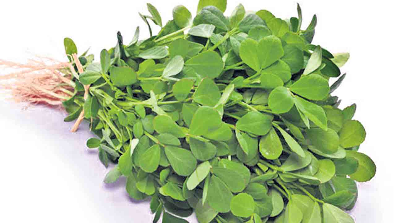 మంచి చేసే మెంతి