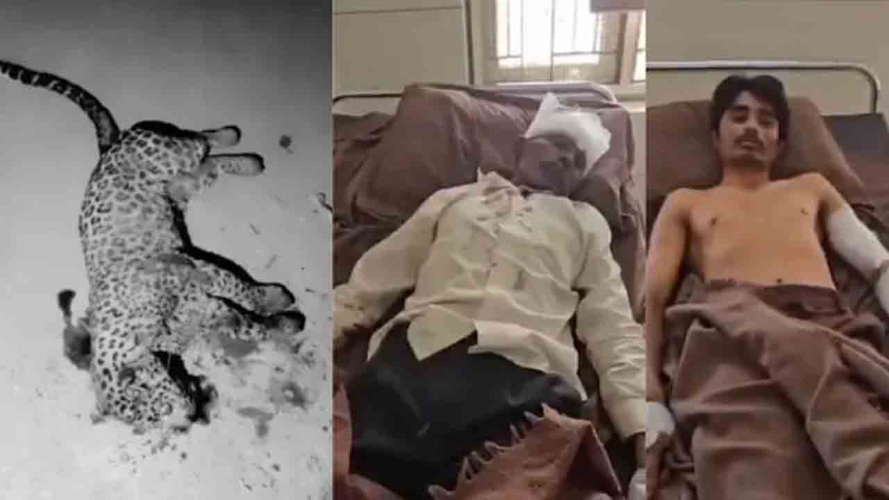Man Kills Leopard | కుమారుడ్ని కాపాడేందుకు.. చిరుతను చంపిన వ్యక్తి