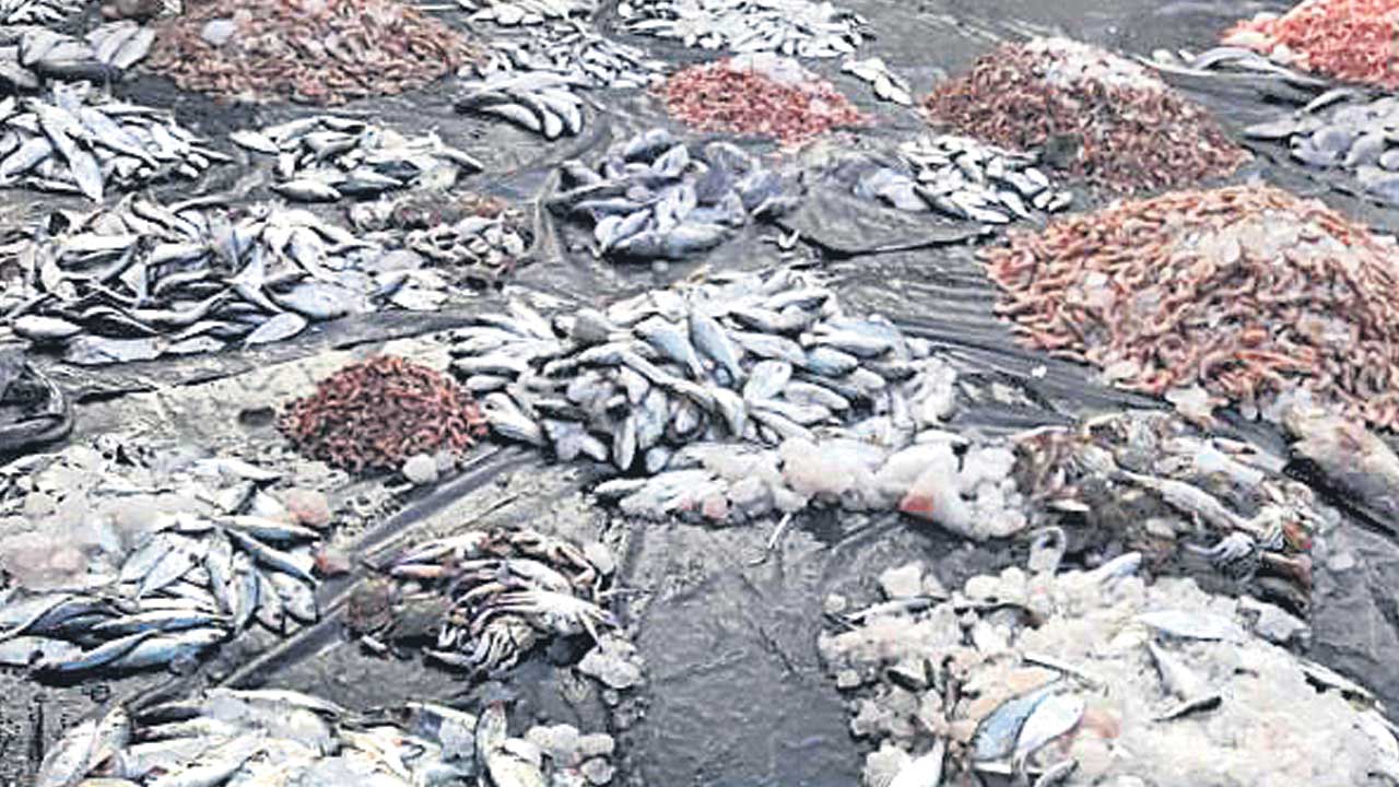 చేపల మార్కెట్‌లో చేతివాటం