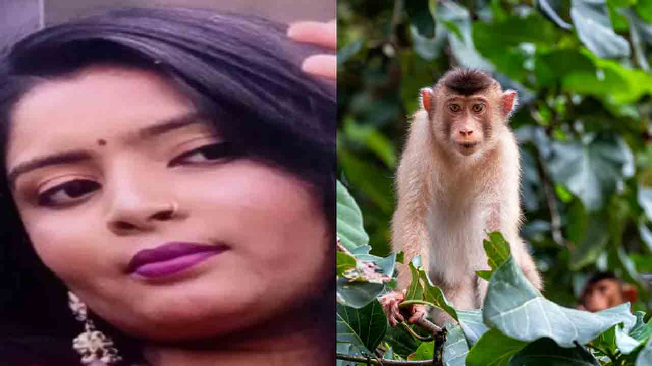 Husband Calls Monkey, Model Suicide | సరదాగా ‘కోతి’ అని పిలిచిన భర్త.. ఆత్మహత్య చేసుకున్న మోడల్‌