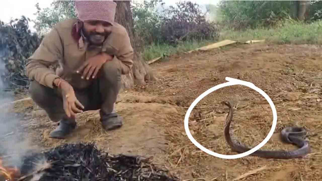 Watch: పాముతో వ్యక్తి సంభాషణ.. వీడియో వైరల్‌