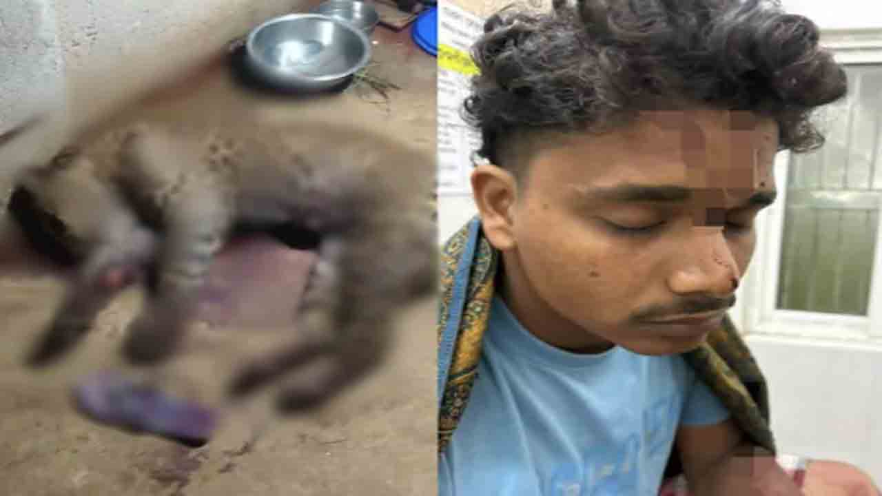 Man Killed Attacked Leopard | వ్యక్తిపై చిరుత దాడి.. దానిని ఎలా చంపాడంటే?