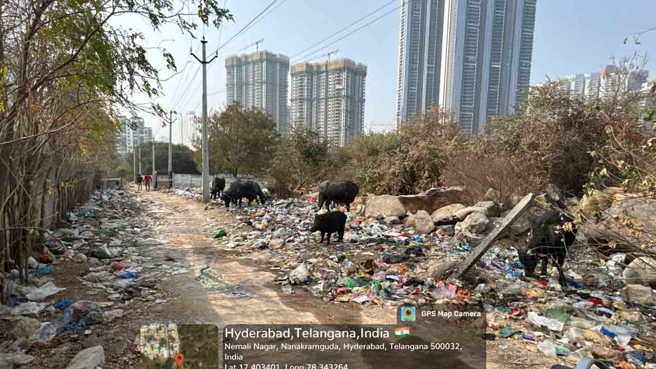 Manikonda | పందుల స్వైర విహారం, చెత్తాచెదారం.. దుర్వాసనతో కాలనీ వాసుల ఇబ్బందులు
