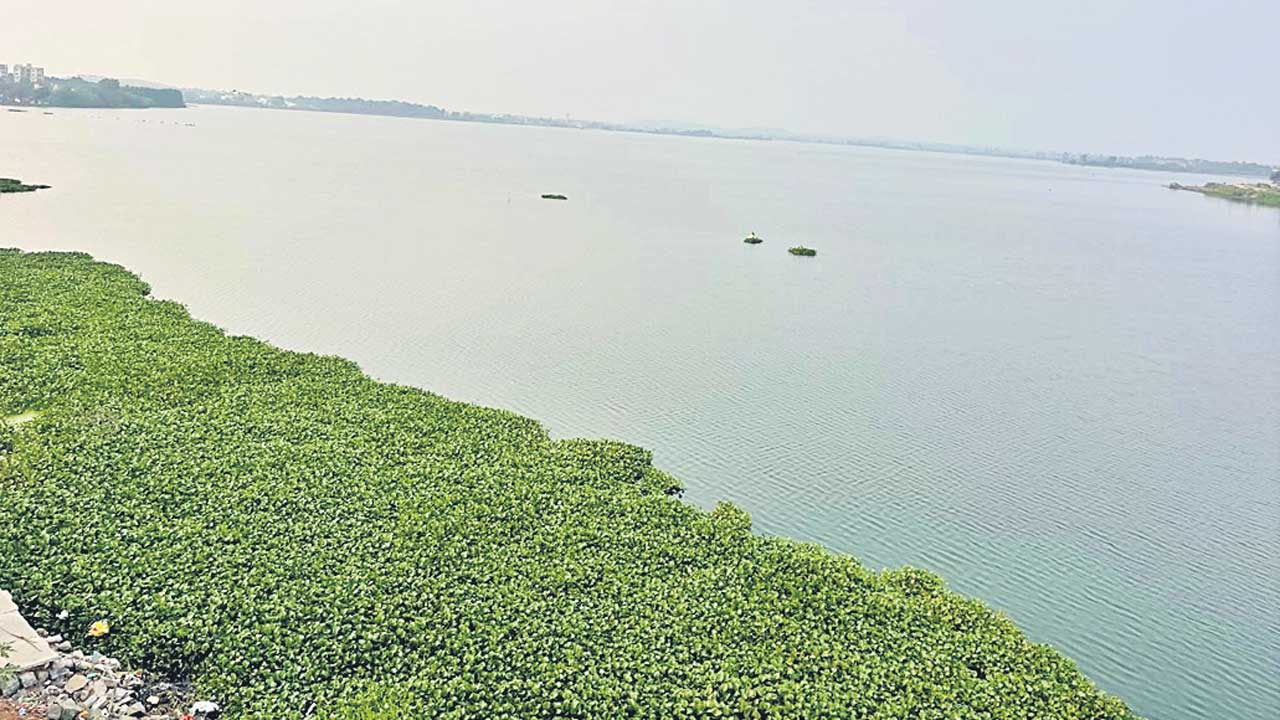 కోదాడ చెరువు కబ్జాపై గ్రీన్‌ ట్రిబ్యునల్‌ కొరడా