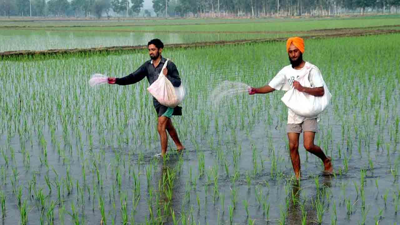 Rice produce | వరి ధాన్యం ఉత్పత్తిలో మనమే నెంబర్‌ వన్‌.. రెండో స్థానానికి చైనా