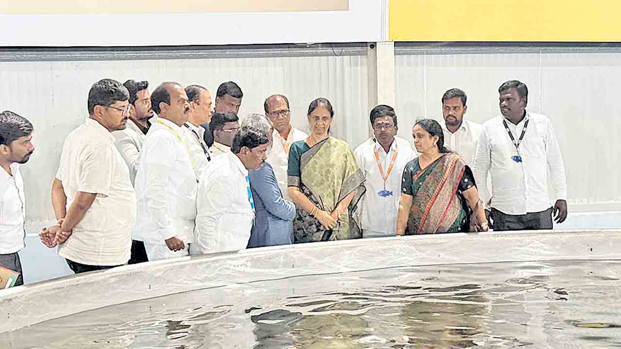 స్మార్ట్‌గ్రీన్‌ చేపల పెంపక కేంద్రం.. రూ50 కోట్ల పెట్టుబడితో ఏర్పాటు చేసిన సంస్థ