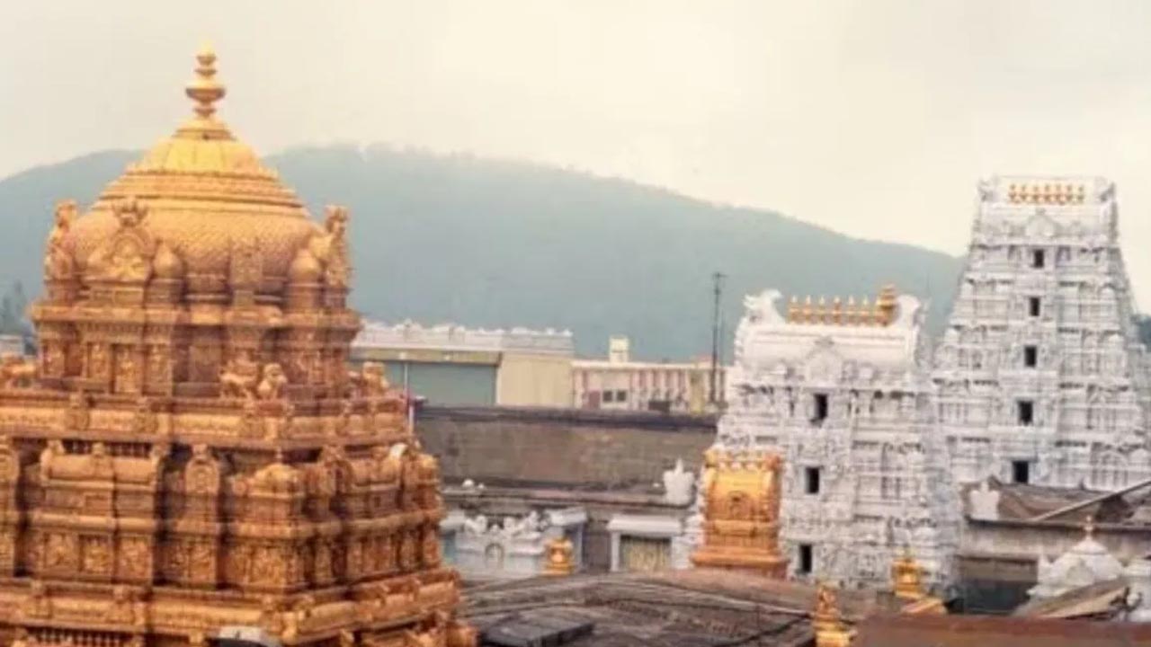Tirumala | సంక్రాంతి పండుగ వేళ శ్రీవారి చెంత పెరిగిన భక్తుల రద్దీ