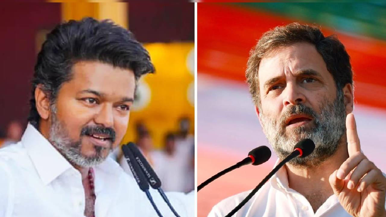 TVK Vijay | రాహుల్ గాంధీయే కాంగ్రెస్‌కు బూస్ట్, హార్లిక్స్.. విజయ్ మద్దతు అవసరం లేదు.. కాంగ్రెస్ స్పష్టం