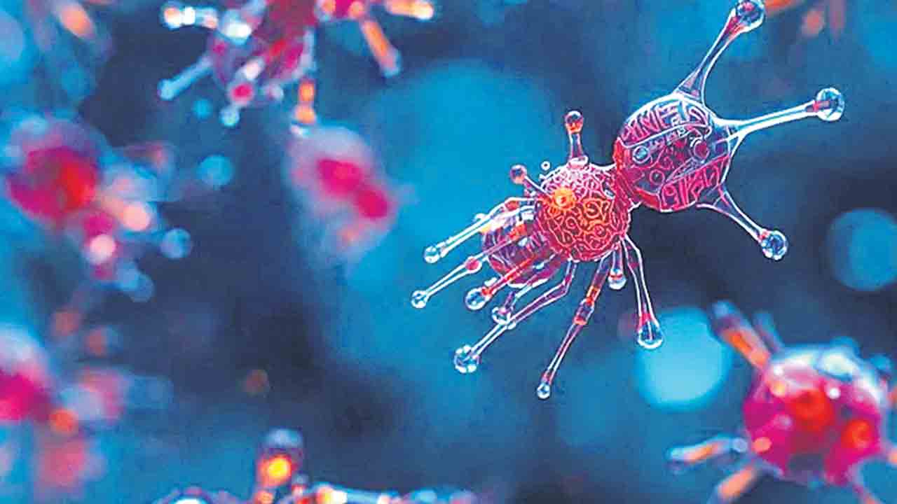 చావు-బతుకుల మధ్య మరో స్థితి !