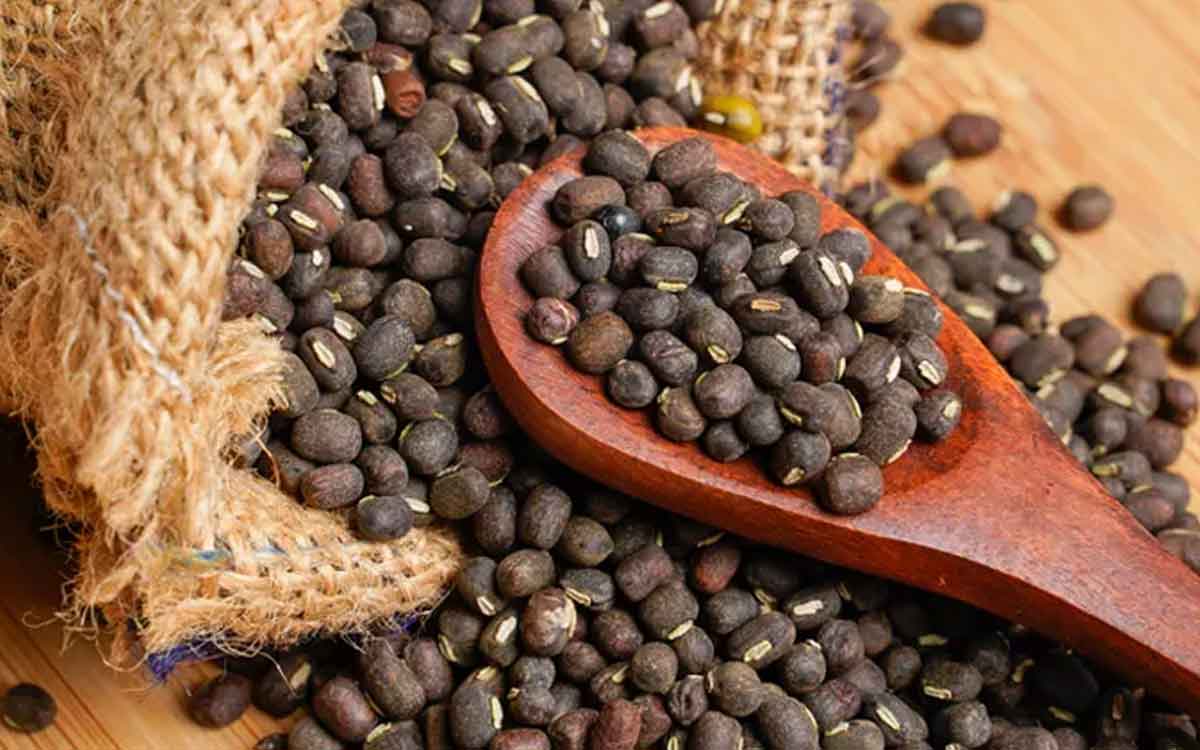 Black Gram | మినుముల‌ను చాలా మంది పట్టించుకోరు.. కానీ వీటితో ఎన్ని లాభాలు ఉంటాయో తెలుసా..?