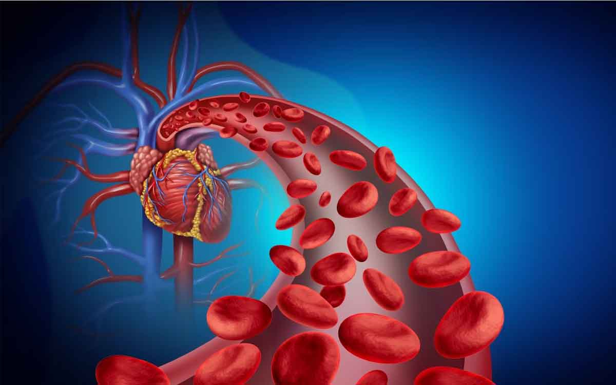 Blood Circulation | ఈ ల‌క్ష‌ణాలు క‌నిపిస్తున్నాయా..? అయితే మీ శ‌రీరంలో ర‌క్త ప్ర‌స‌ర‌ణ స‌రిగ్గా జ‌ర‌గ‌డం లేద‌ని అర్థం..!