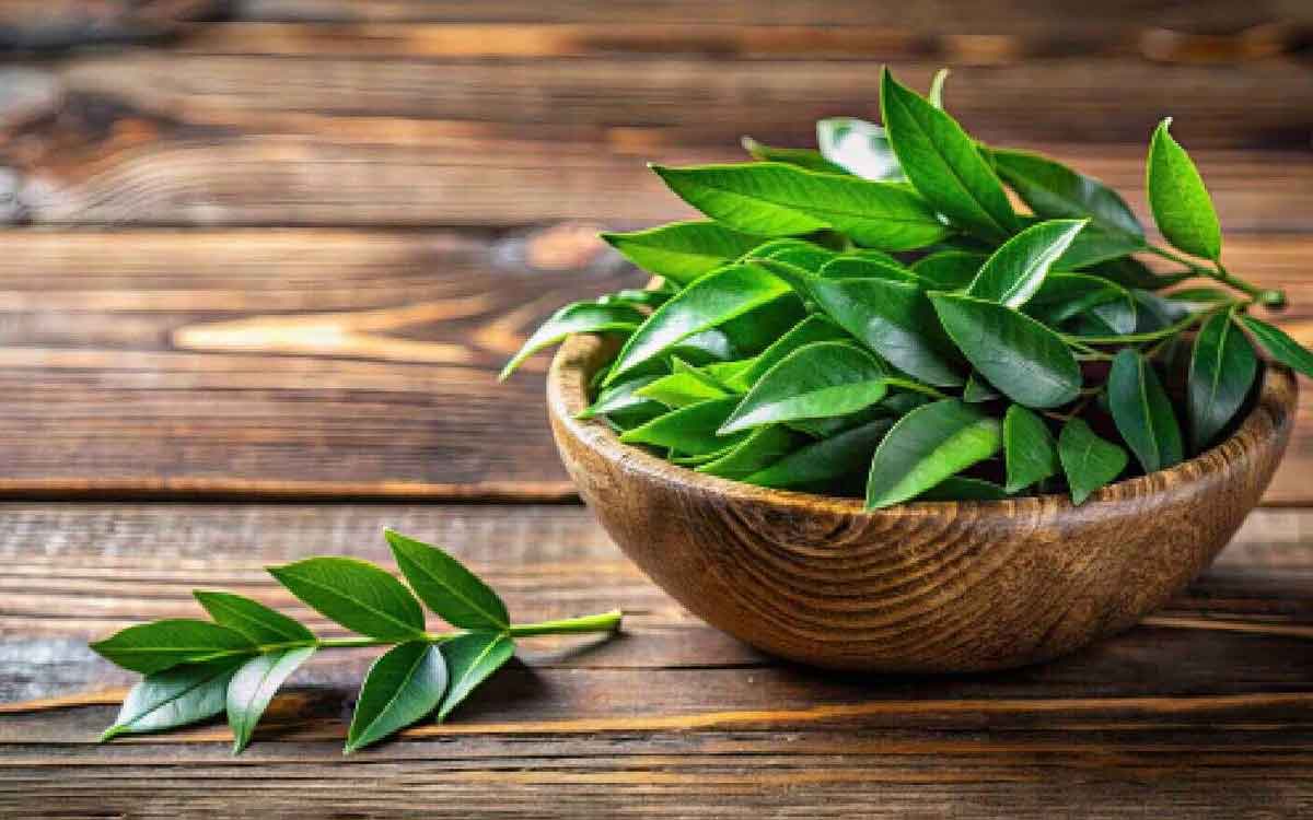 Curry Leaves | క‌రివేపాకును రోజూ తింటే అస‌లు ఎన్ని లాభాలు క‌లుగుతాయో తెలుసా..? ఆశ్చ‌ర్య‌పోతారు..!