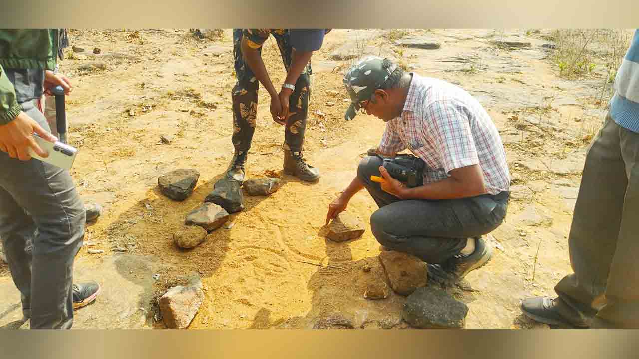 Tiger Foot Prints | తాళ్లాపేట్ పరిధిలో పెద్దపులి పాదముద్రల గుర్తింపు.. !
