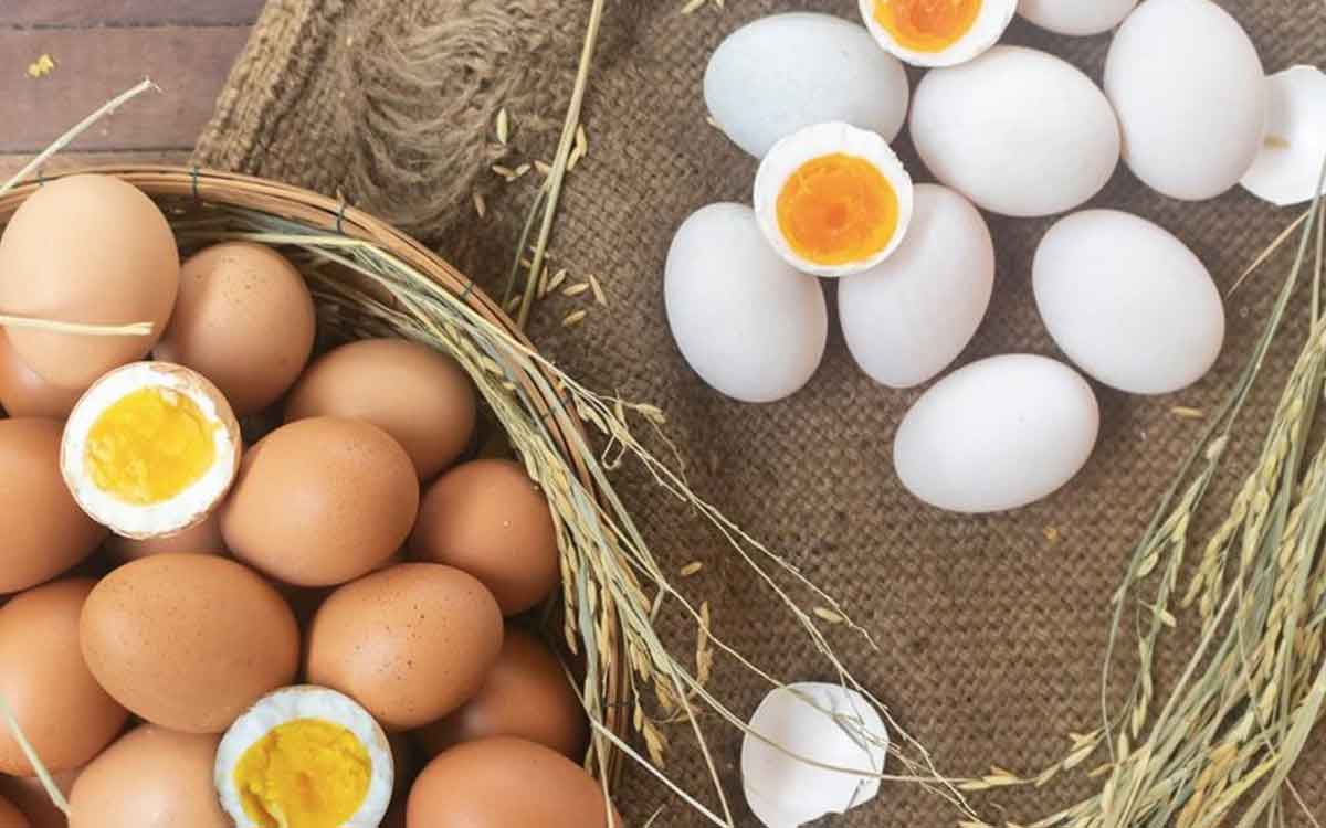 Eggs | కోడిగుడ్ల‌ను రోజూ తింటున్నారా..? అయితే ఈ జాగ్ర‌త్త‌లు త‌ప్ప‌నిస‌రి..!