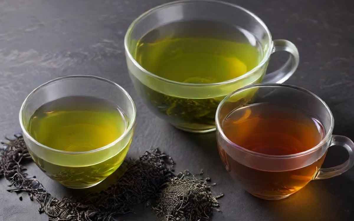 Weight Loss | బ‌రువును త‌గ్గించుకునేందుకు గ్రీన్ టీ లేదా బ్లాక్ టీ.. రెండింటిలో ఏది మంచిది..?