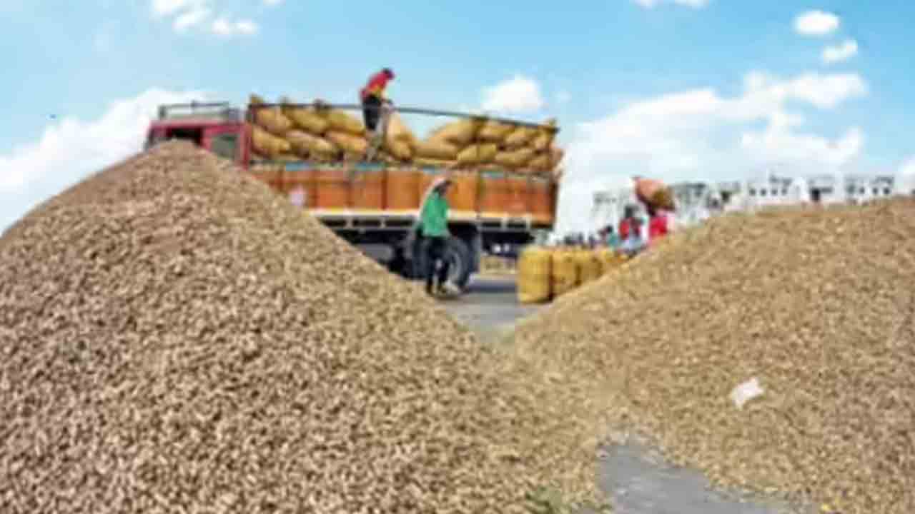 పల్లి @ 12,751.. బాదేపల్లి మార్కెట్‌లో క్వింటాకు రికార్డు స్థాయి ధర