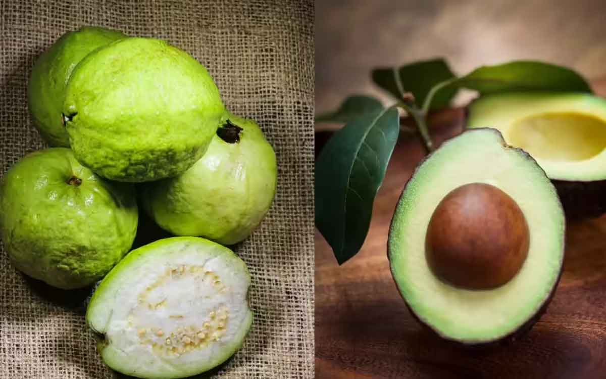 Guava Vs Avocado | జామ‌కాయ‌లు.. అవ‌కాడో.. మ‌న ఆరోగ్యానికి అస‌లు ఏవి మేలు చేస్తాయి..?