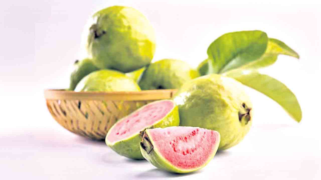 జామ కొందరికి చేదు