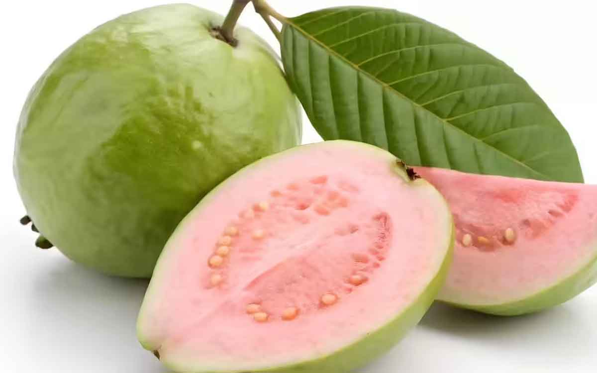 Guava | జామ‌పండ్ల‌ను అస‌లు ఏ స‌మ‌యంలో తినాలి..? వీటితో మ‌న‌కు ఏయే పోష‌కాలు ల‌భిస్తాయి..?