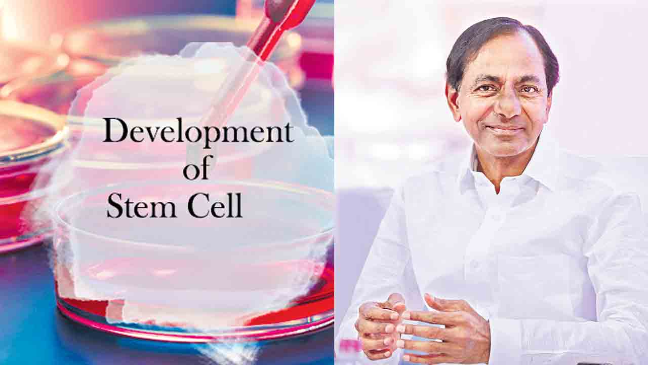 ఫలించిన కేసీఆర్‌ ఆశయం