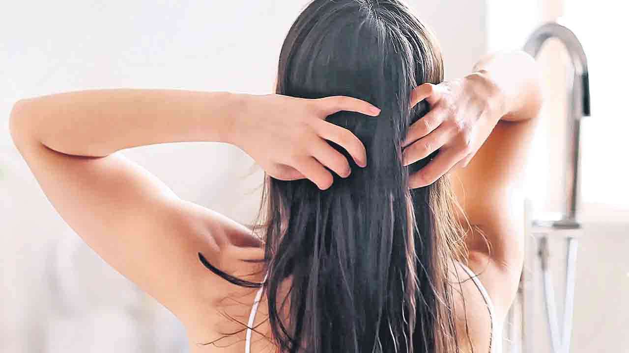 Hairfall | చలికాలంలో జుట్టు ఎక్కువగా రాలిపోతున్నదా.. ఈ టిప్స్ మీకోసమే!
