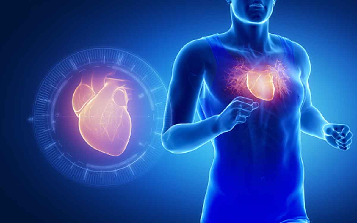 Heart Health | మ‌నం రోజూ పాటించే ఈ అల‌వాట్లు గుండె ఆరోగ్యాన్ని ఎలా దెబ్బ తీస్తాయో తెలుసా..?
