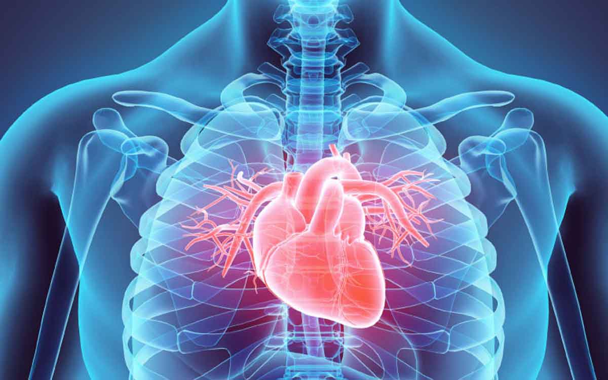 Heart Attack | మీకు నిరంత‌రం ఈ సంకేతాలు క‌నిపిస్తున్నాయా..? అయితే గుండె పోటు లక్షణాలు కావచ్చు జాగ్ర‌త్త‌..!