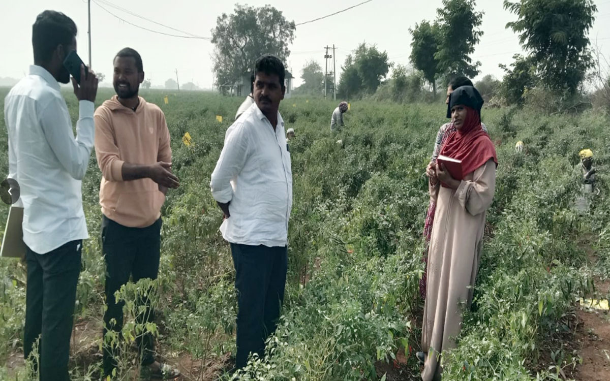 Damaracharla : తేజశ్రీ రకం మిర్చి సాగులో సస్యరక్షణ చ‌ర్య‌లు