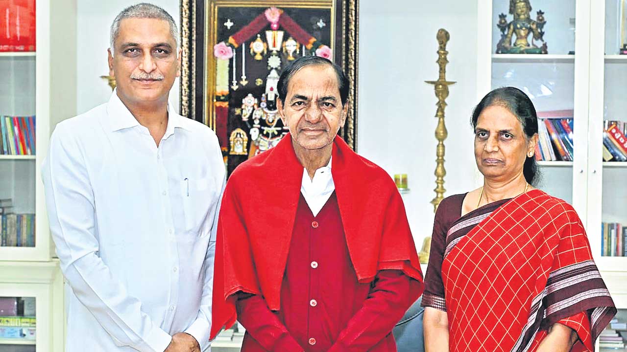 చట్టసభల్లో సర్కార్‌ను నిలదీయండి