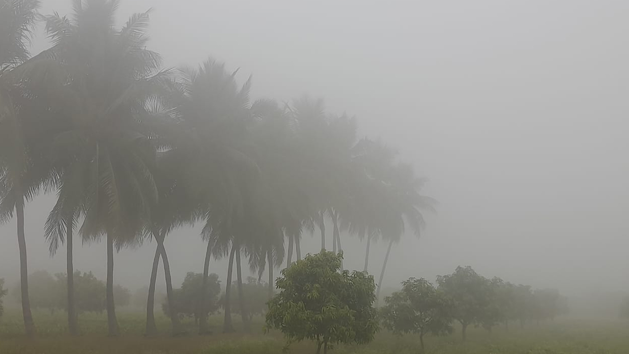 Thick fog | పల్లెలలో కమ్ముకున్న పొగ మంచు