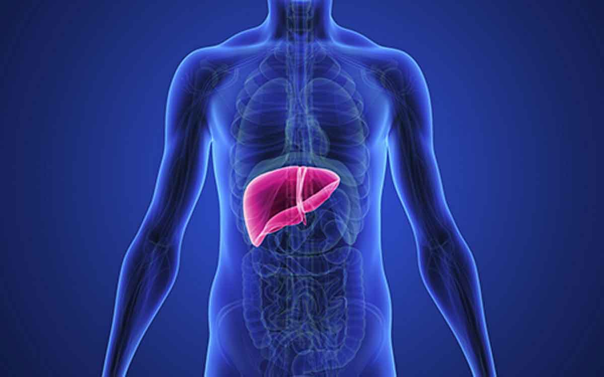 Liver Health | లివ‌ర్ ఆరోగ్యంగా ఉండాలంటే ఈ పండ్ల‌ను తినండి.. ఎంతో మేలు జ‌రుగుతుంది..!