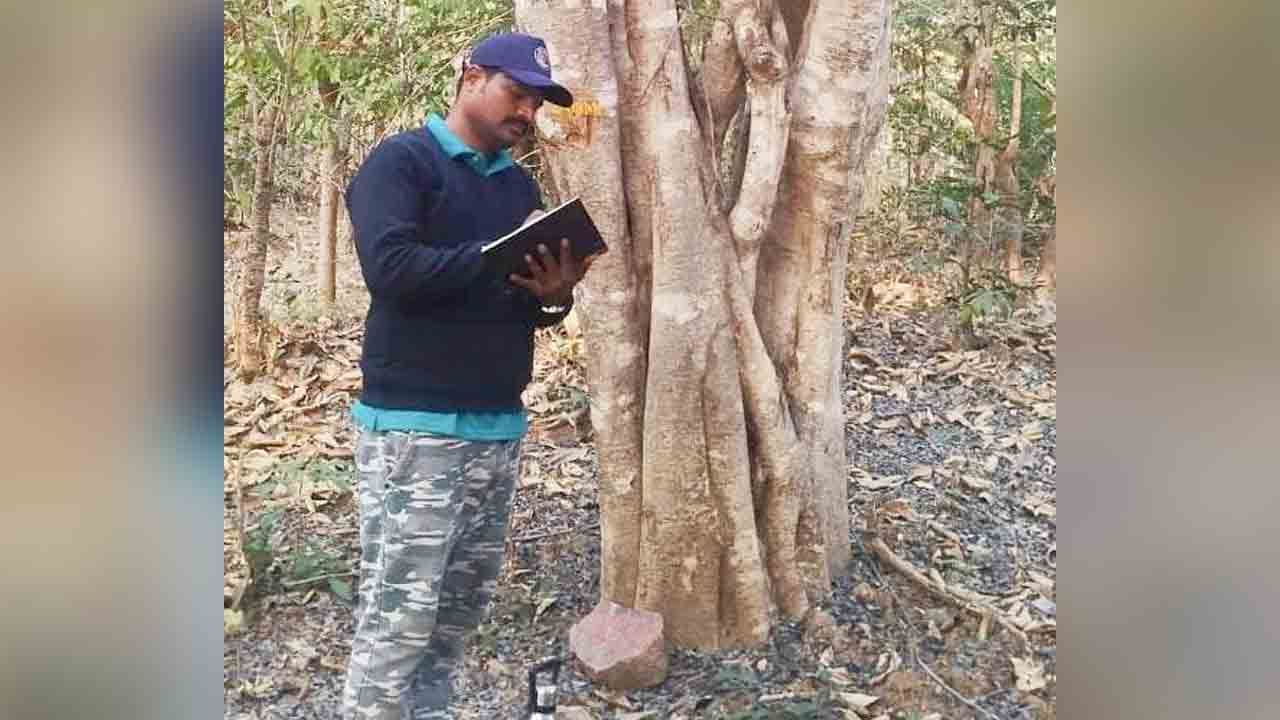 Wildlife census | కాసిపేటలో వన్యప్రాణి గణన ప్రారంభం