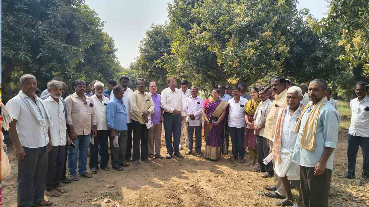 Dharmasagar | మామిడి పూత దశలో సస్యరక్షణ చర్యలు తీసుకోవాలి : వ్యవసాయ శాస్త్రవేత్తలు