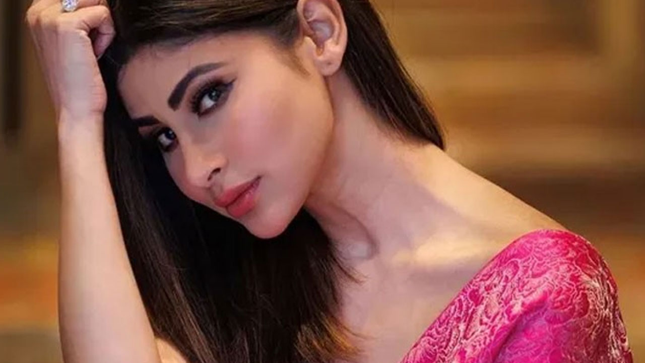 Mouni Roy | వివాహ వేడుకలో మౌనీ రాయ్‌కు చేదు అనుభవం.. అసభ్య ప్రవర్తనపై ఆవేదన వ్యక్తం చేసిన నటి