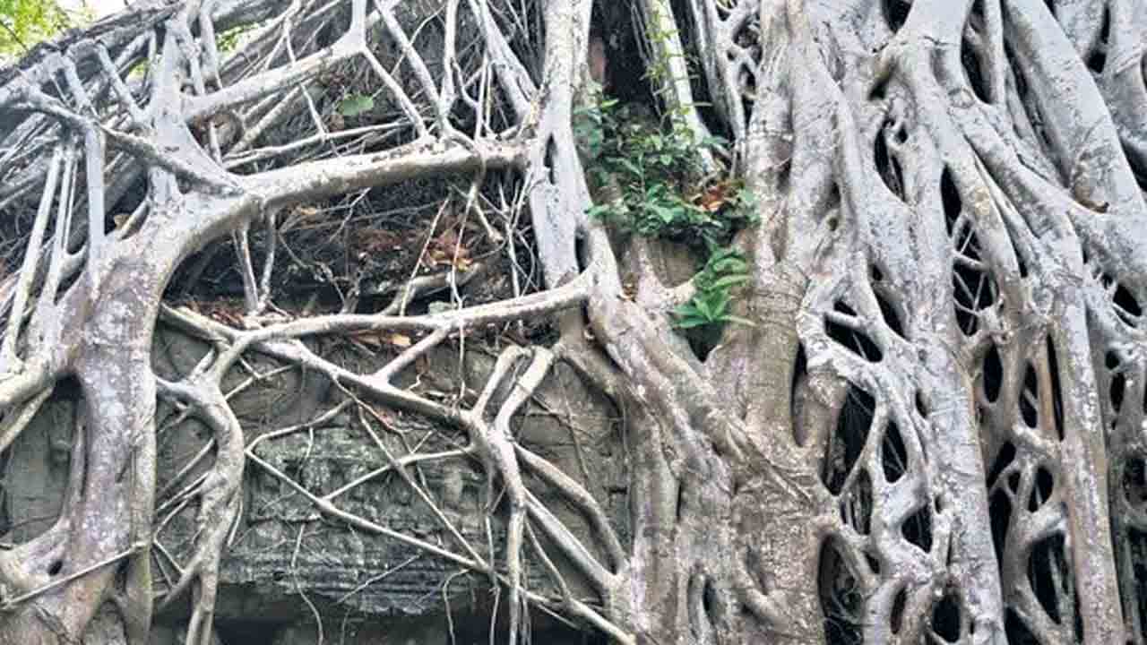 మర్రిచెట్టు ఊడల కింద 900 ఏండ్ల నాటి శివాలయం