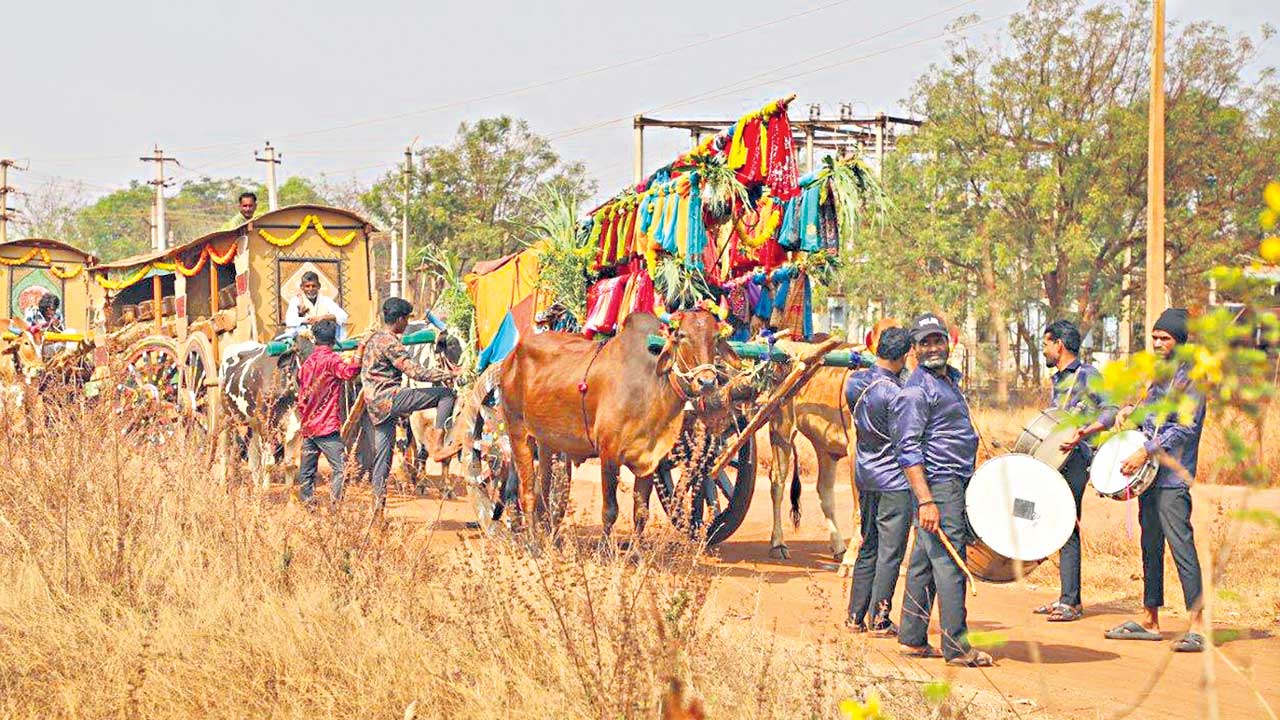 విత్తన సంక్రాంతి.. పాత పంటల జాతర