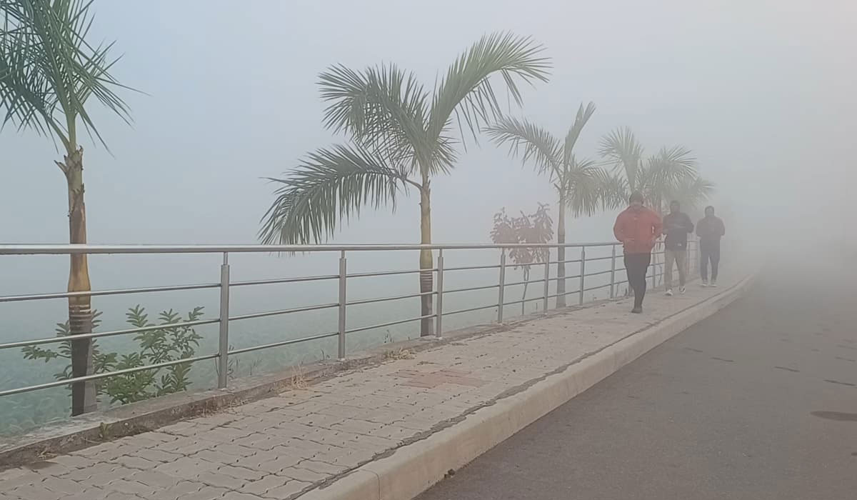 Peddapally | పెద్దపల్లిని కమ్మెసిన పోగమంచు.. కశ్మీర్‌ అందాలను తలపించిన పోగ మంచు