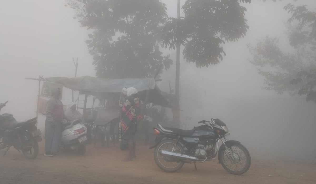 Julapalli | జూలపల్లిని కమ్మేసిన పొగ మంచు